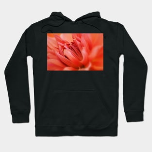 Vibrant Hoodie